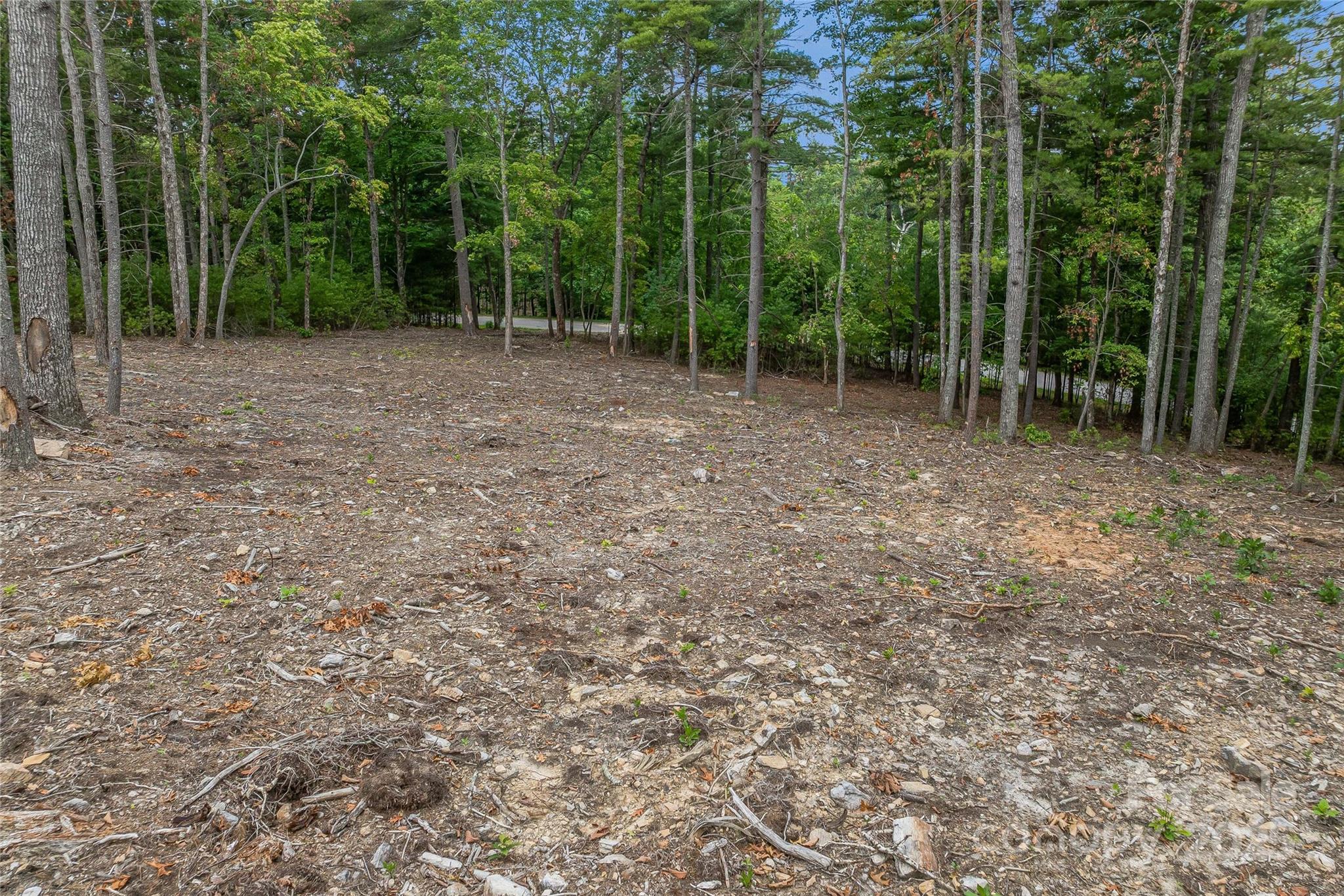 99999 Cedar Hill Drive Biltmore Forest NC 28803