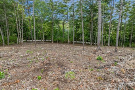 99999 Cedar Hill Drive Biltmore Forest NC 28803
