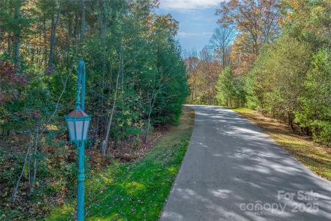 99999 Cedar Hill Drive Biltmore Forest NC 28803