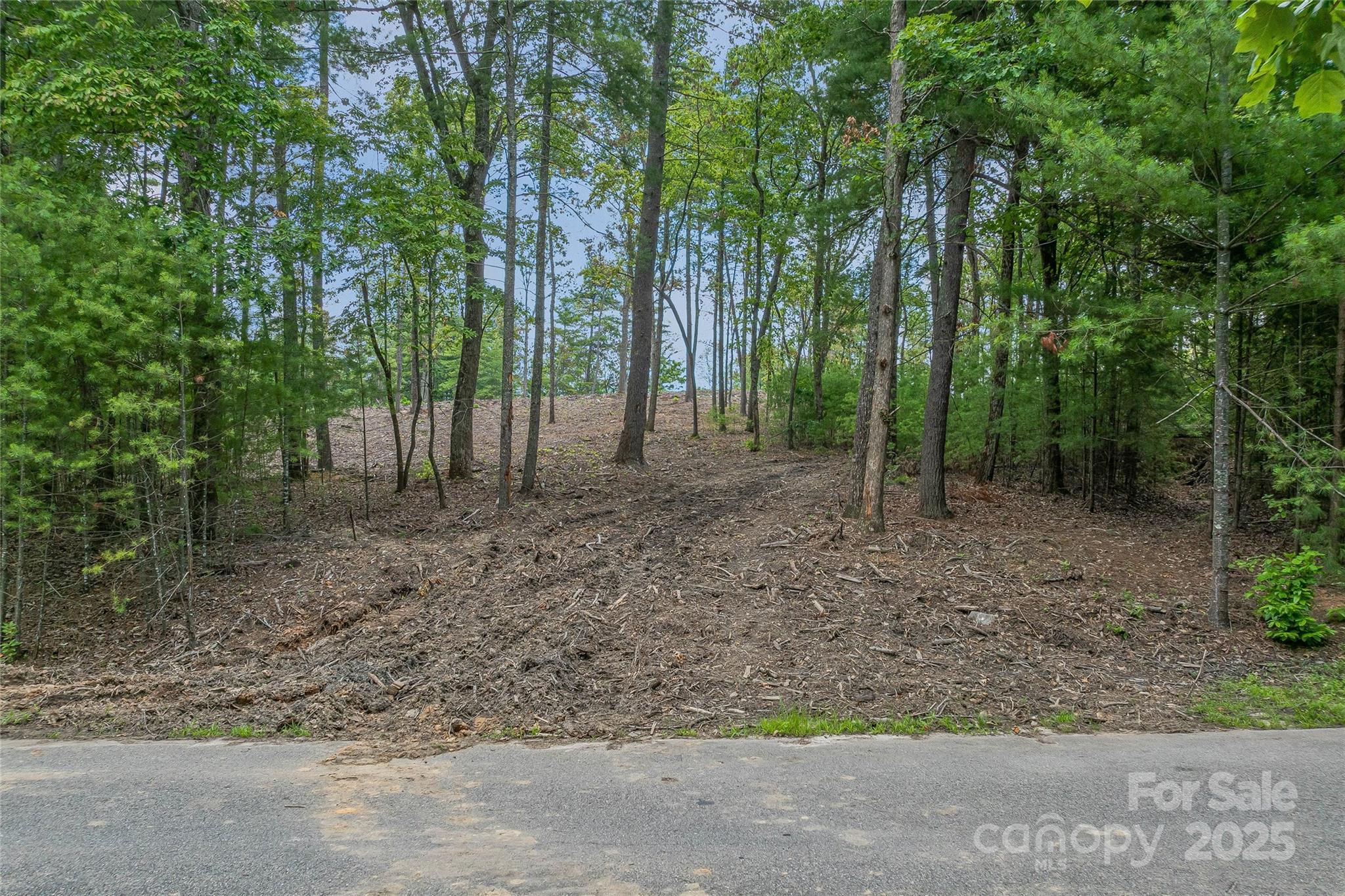 99999 Cedar Hill Drive Biltmore Forest NC 28803