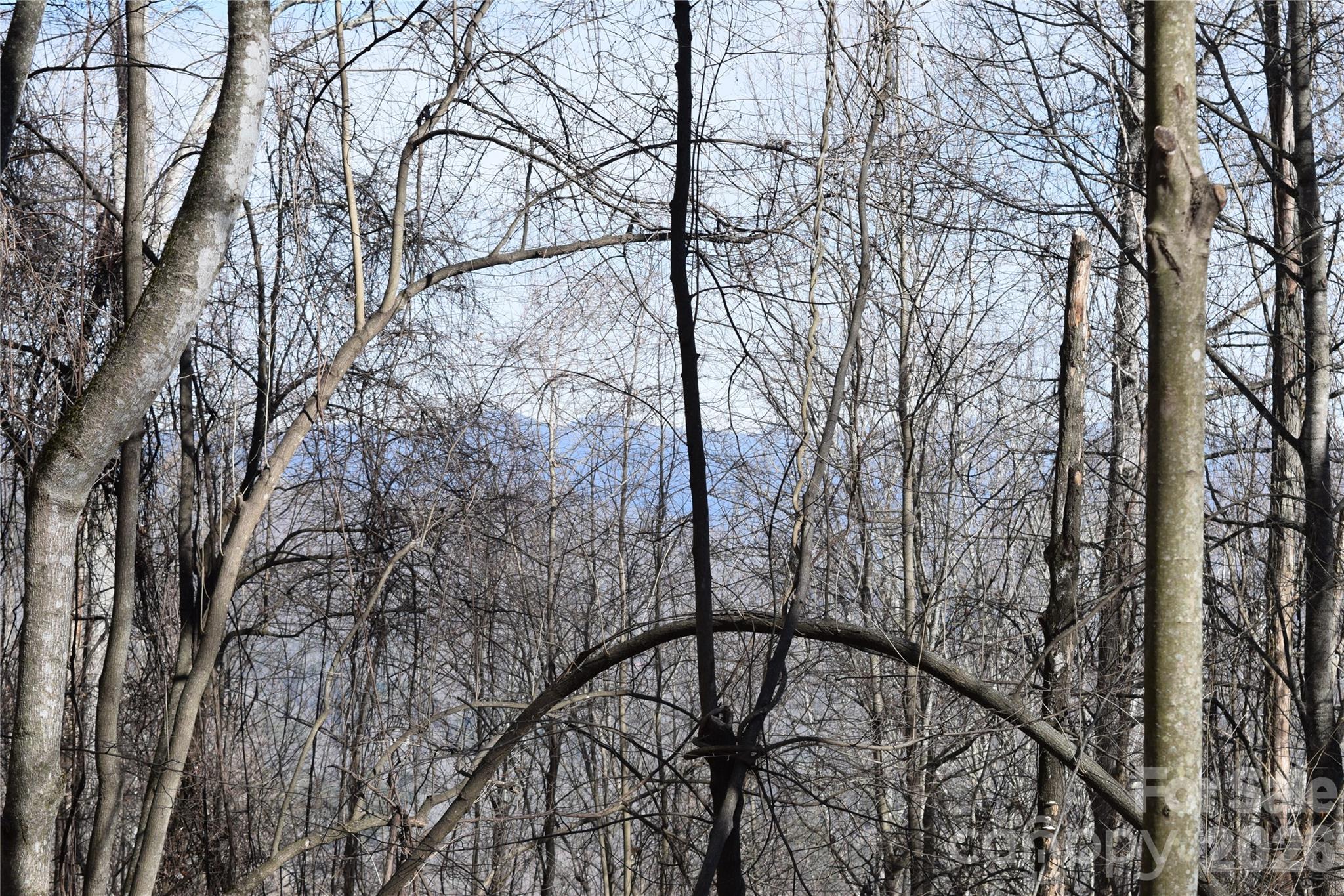 417& 418 Multiflora Way Waynesville NC 28785