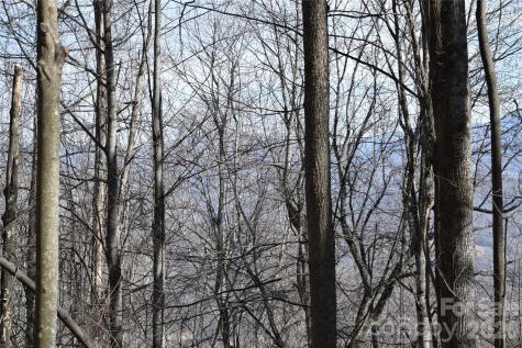 417& 418 Multiflora Way Waynesville NC 28785