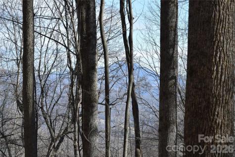 417& 418 Multiflora Way Waynesville NC 28785