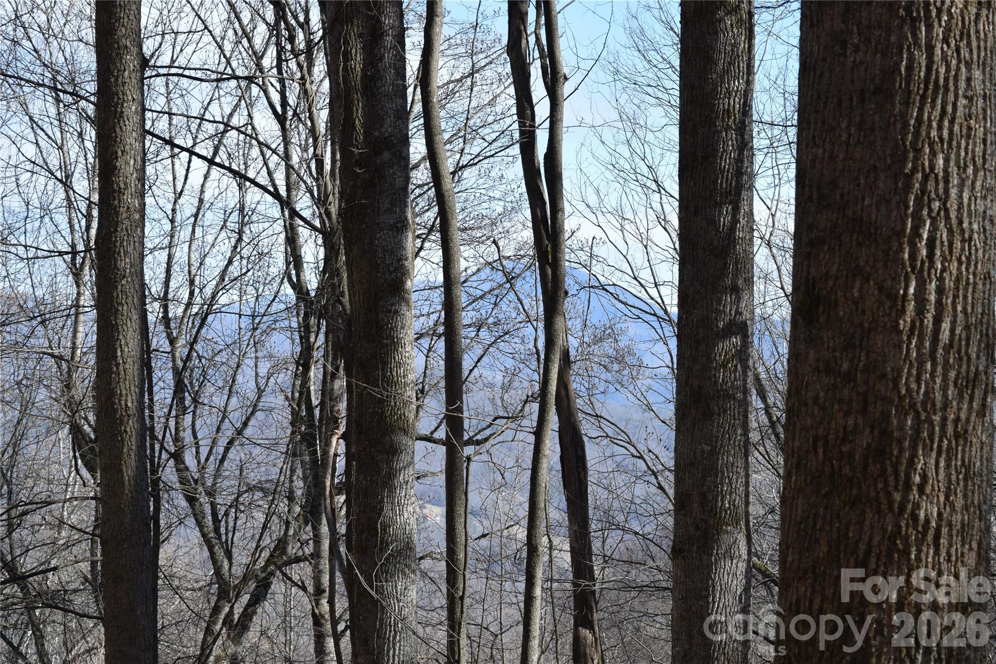 417& 418 Multiflora Way Waynesville NC 28785