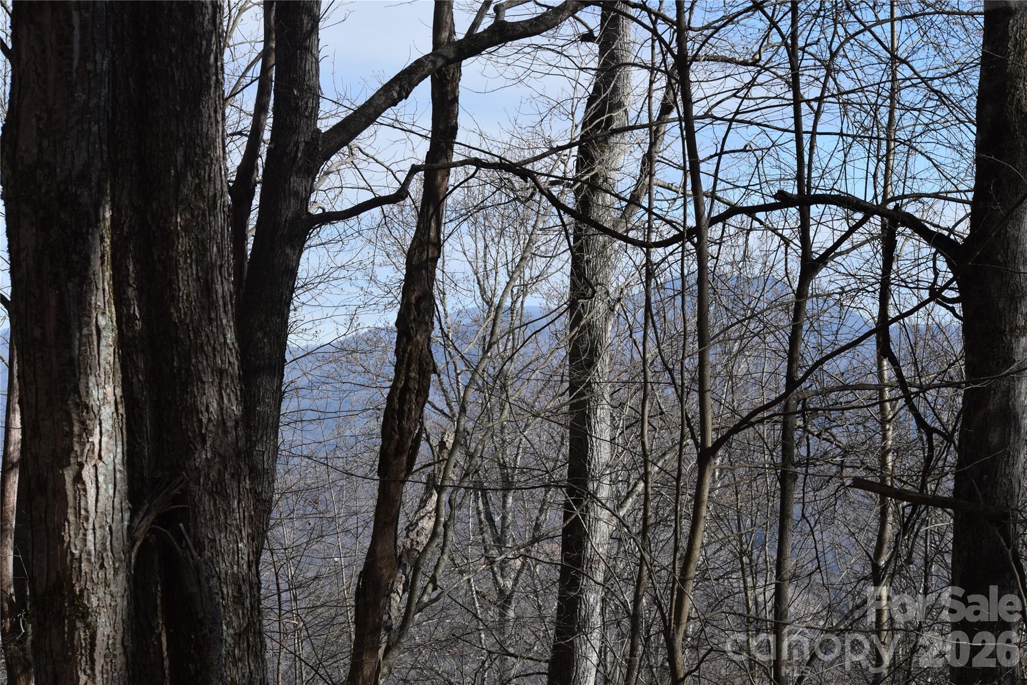 417& 418 Multiflora Way Waynesville NC 28785