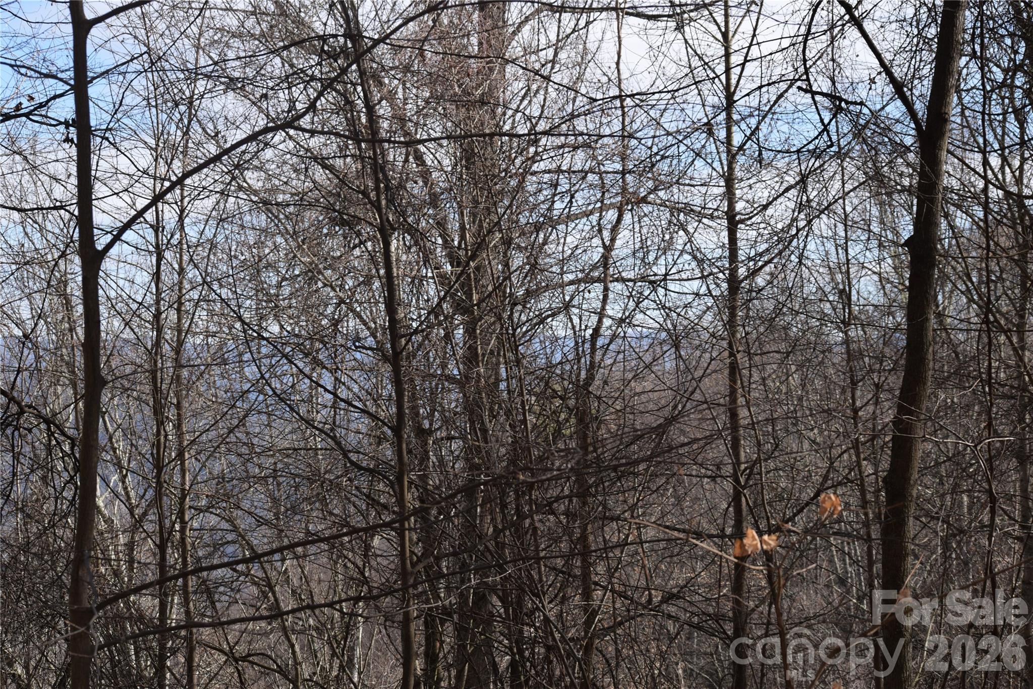 417& 418 Multiflora Way Waynesville NC 28785