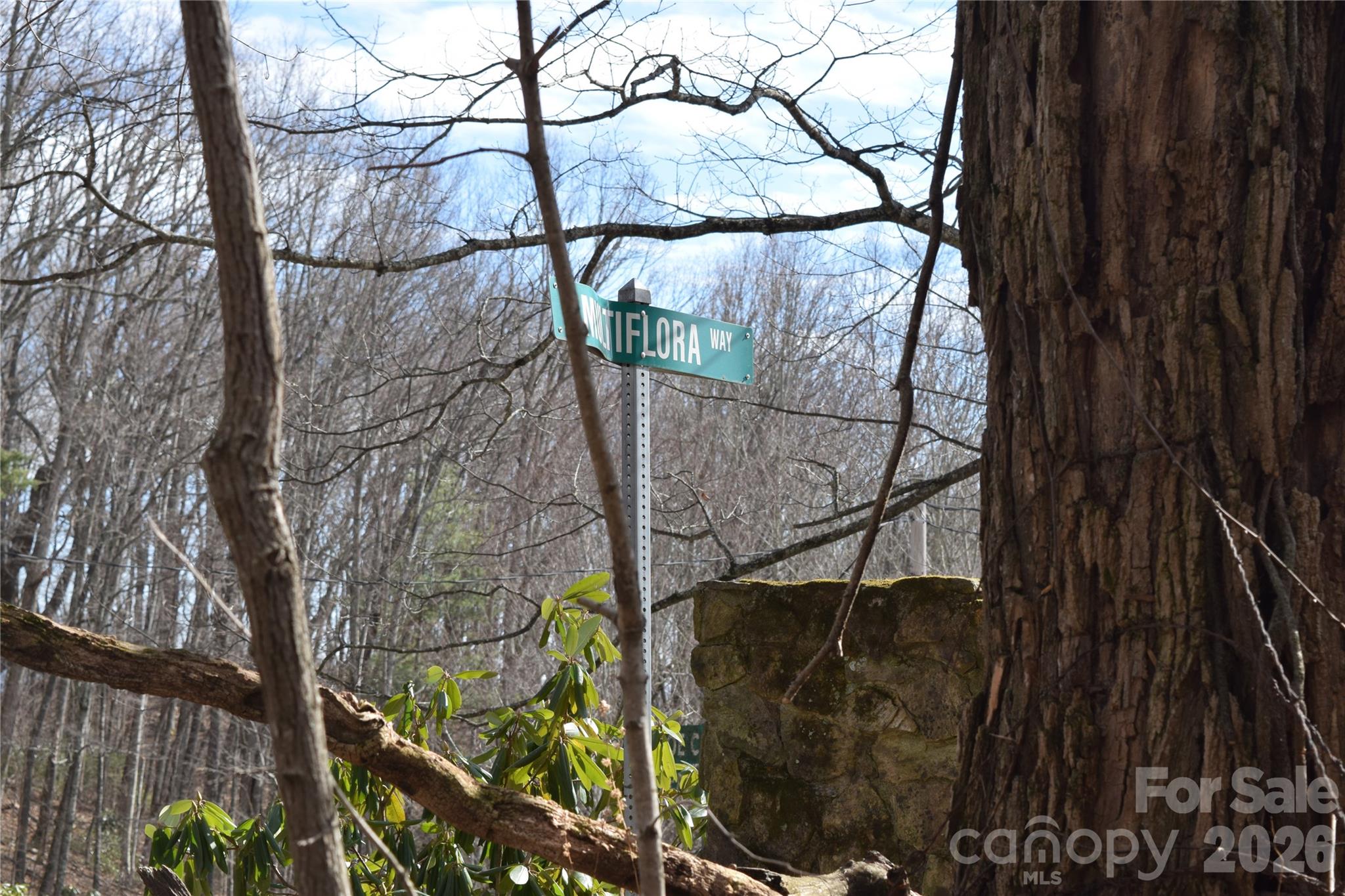 417& 418 Multiflora Way Waynesville NC 28785