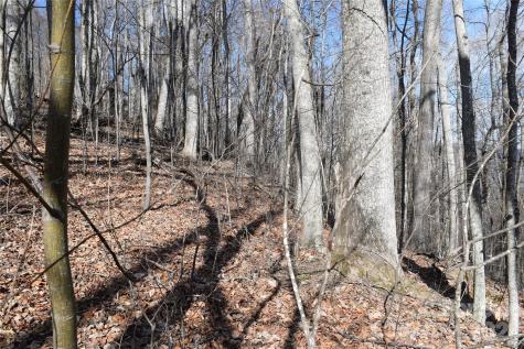 417& 418 Multiflora Way Waynesville NC 28785
