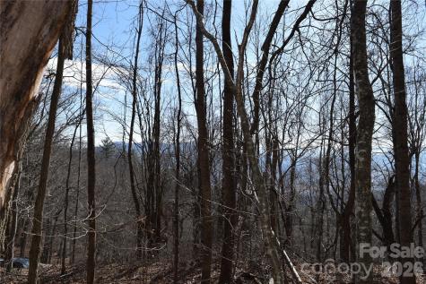 417& 418 Multiflora Way Waynesville NC 28785