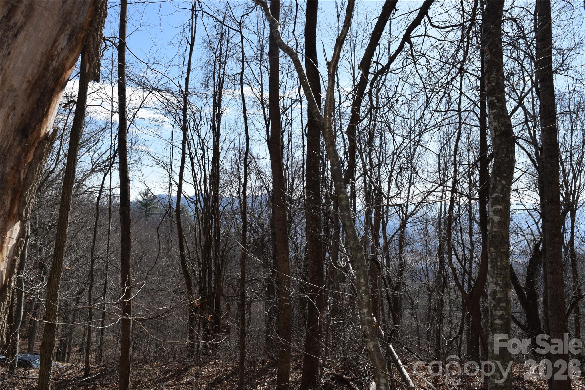 417& 418 Multiflora Way Waynesville NC 28785