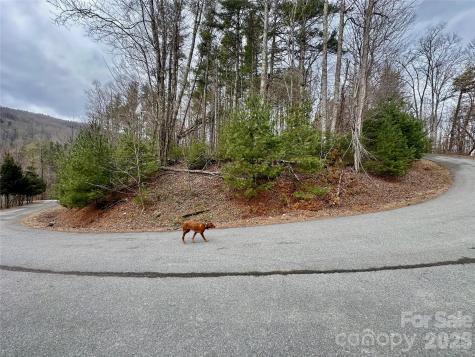 Tbd Mantera Ridge Sugar Grove NC 28679