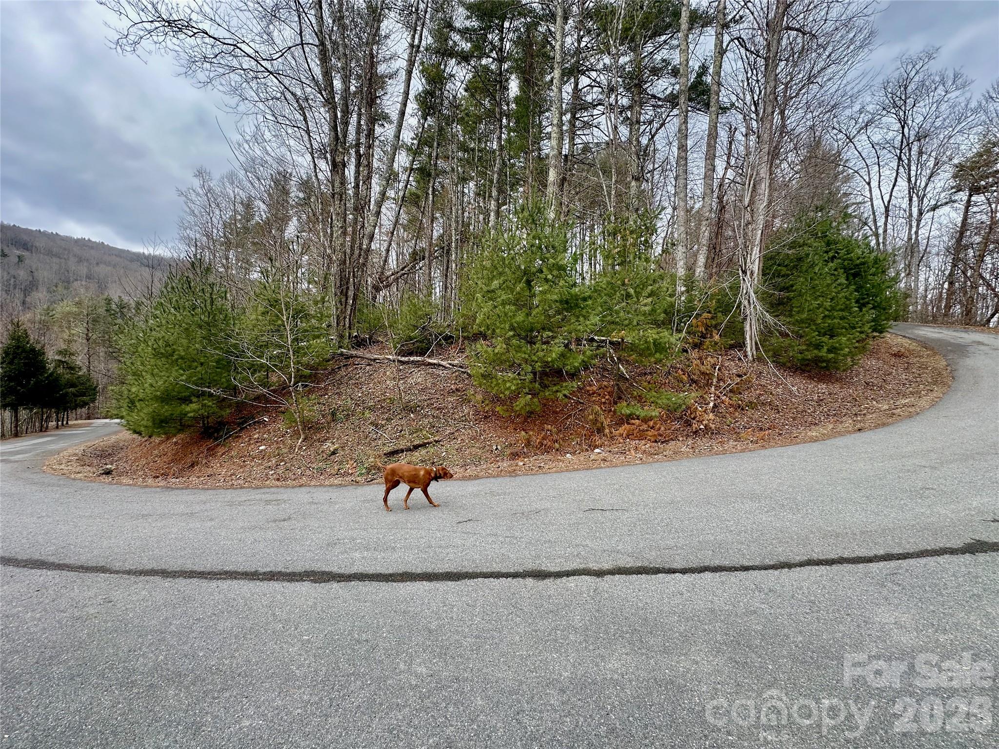 Tbd Mantera Ridge Sugar Grove NC 28679