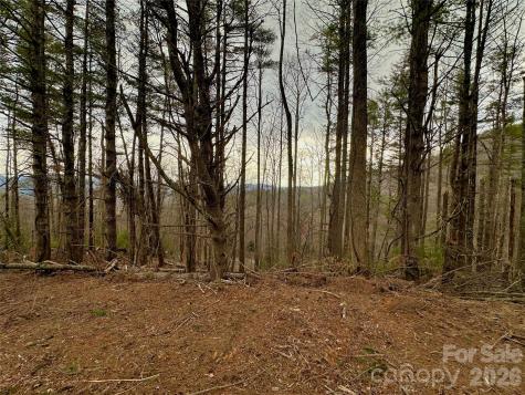 Tbd Mantera Ridge Sugar Grove NC 28679