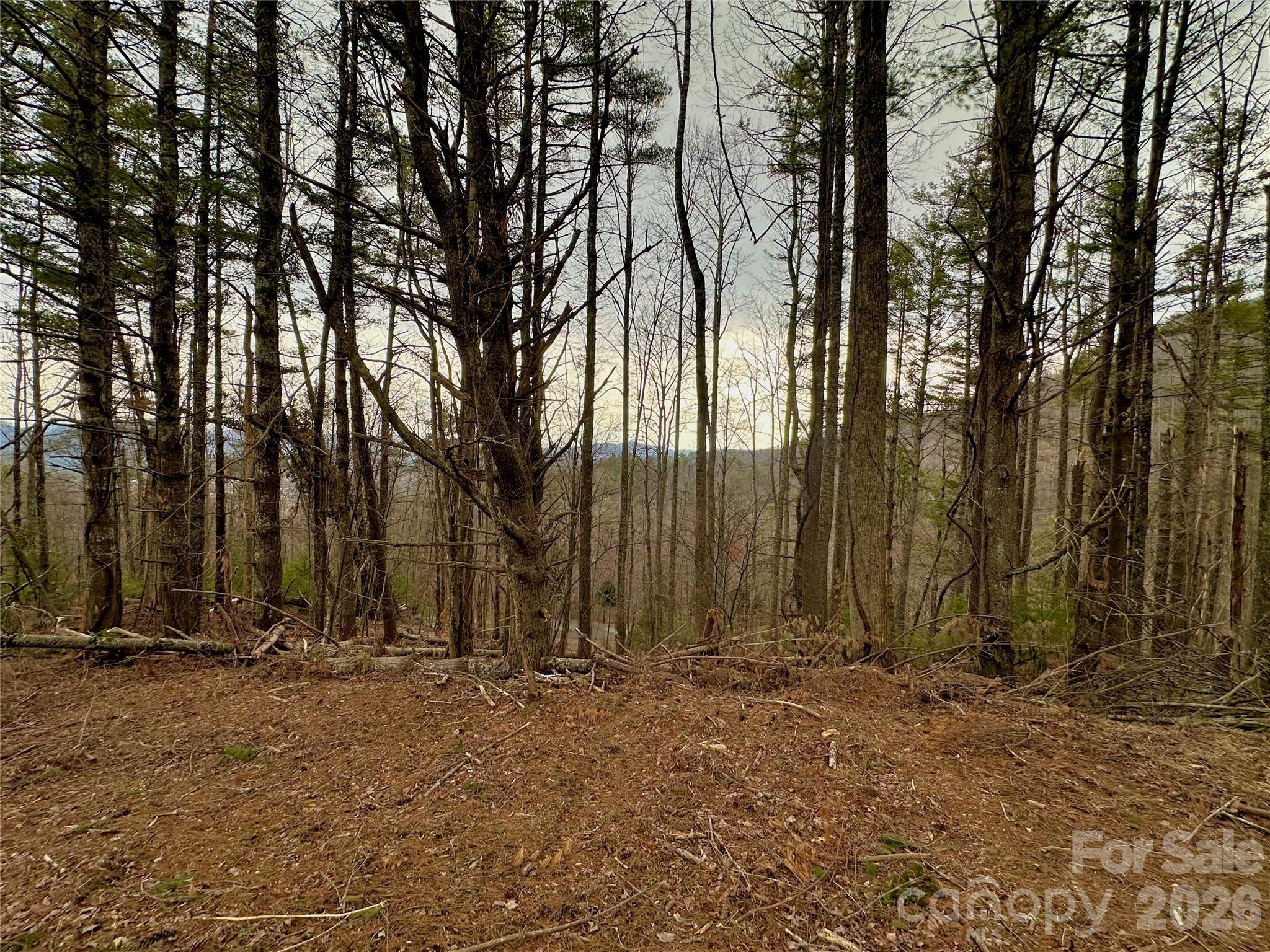 Tbd Mantera Ridge Sugar Grove NC 28679