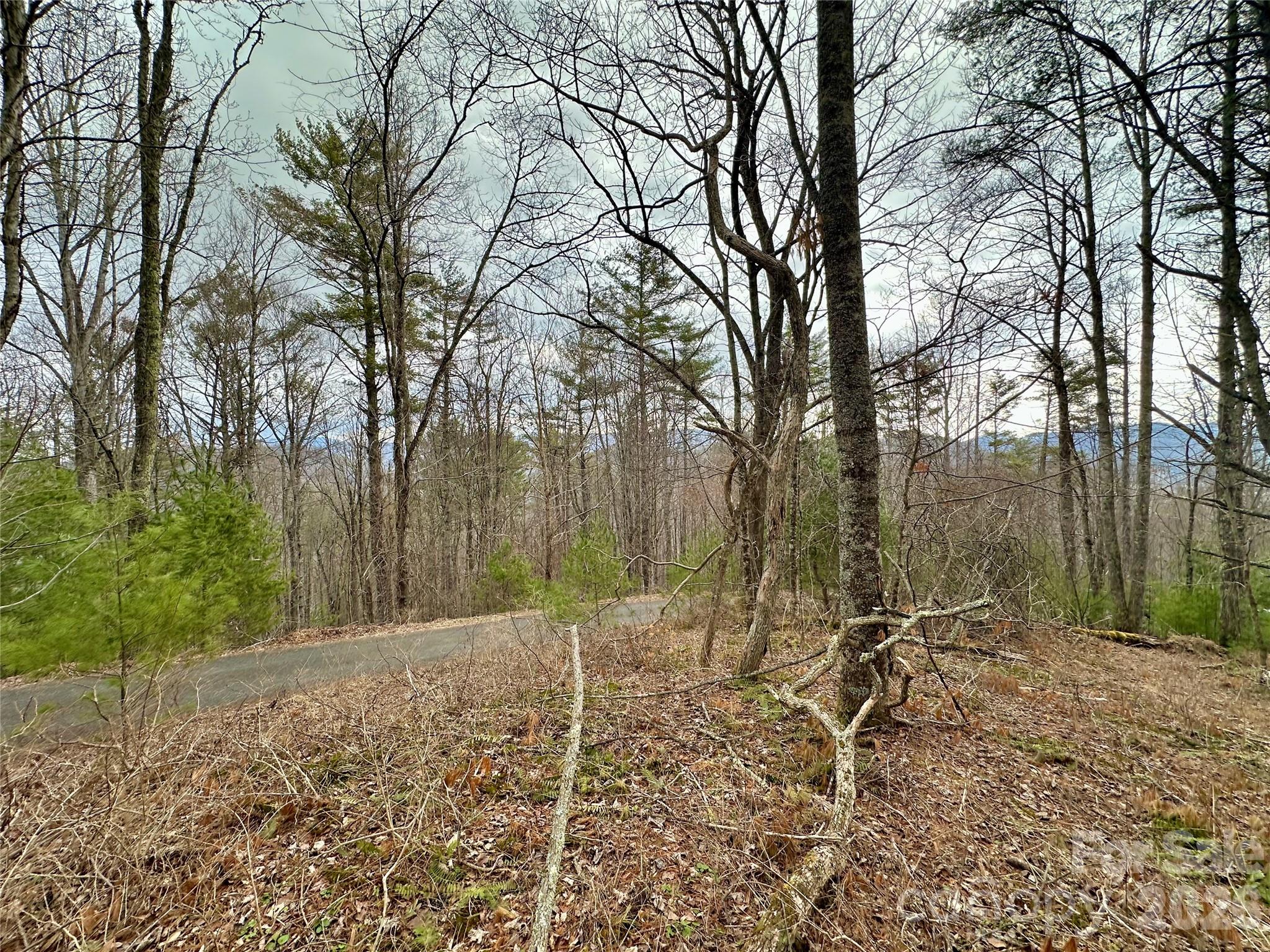 Tbd Mantera Ridge Sugar Grove NC 28679