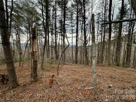 Tbd Mantera Ridge Sugar Grove NC 28679