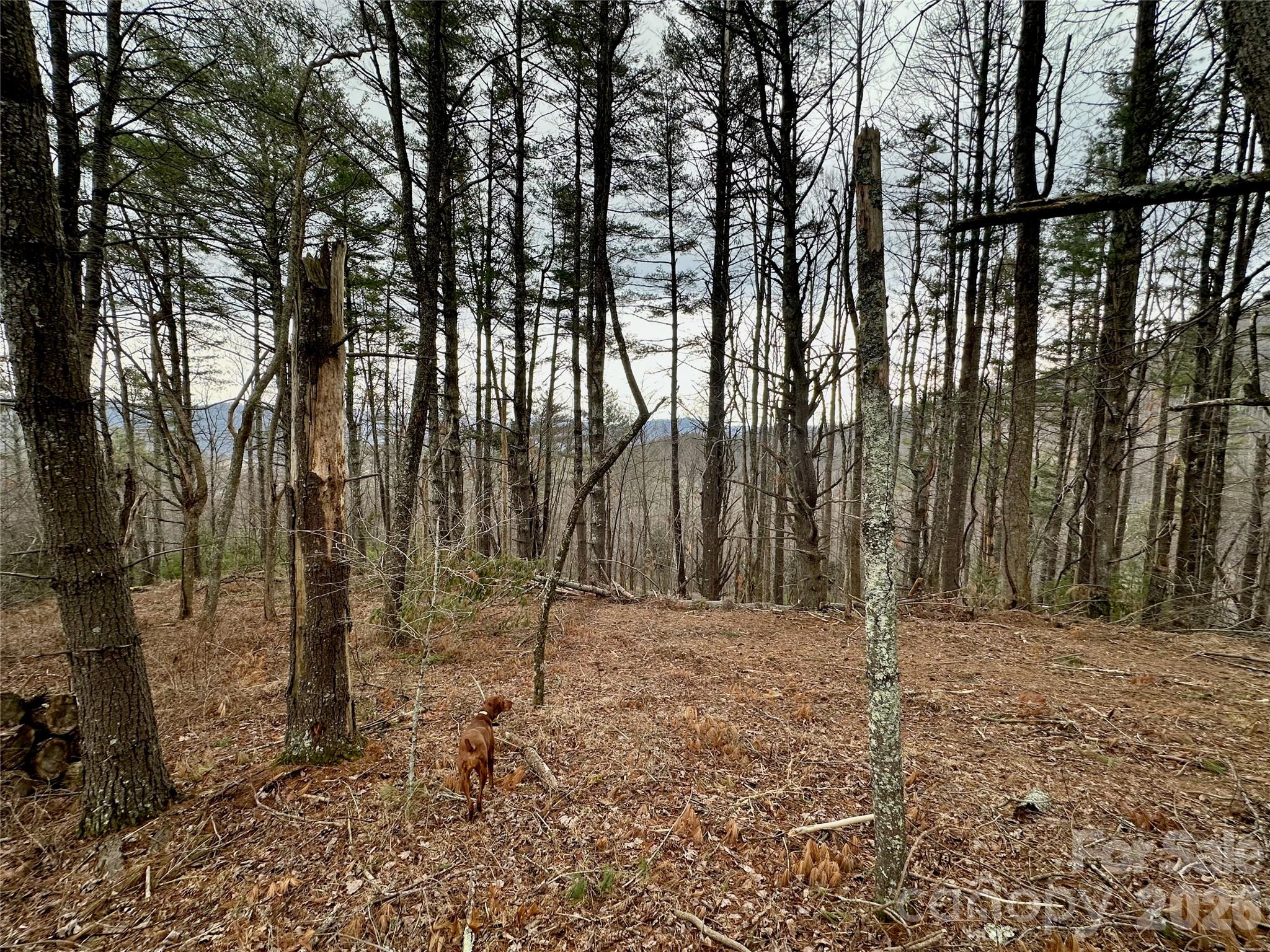 Tbd Mantera Ridge Sugar Grove NC 28679