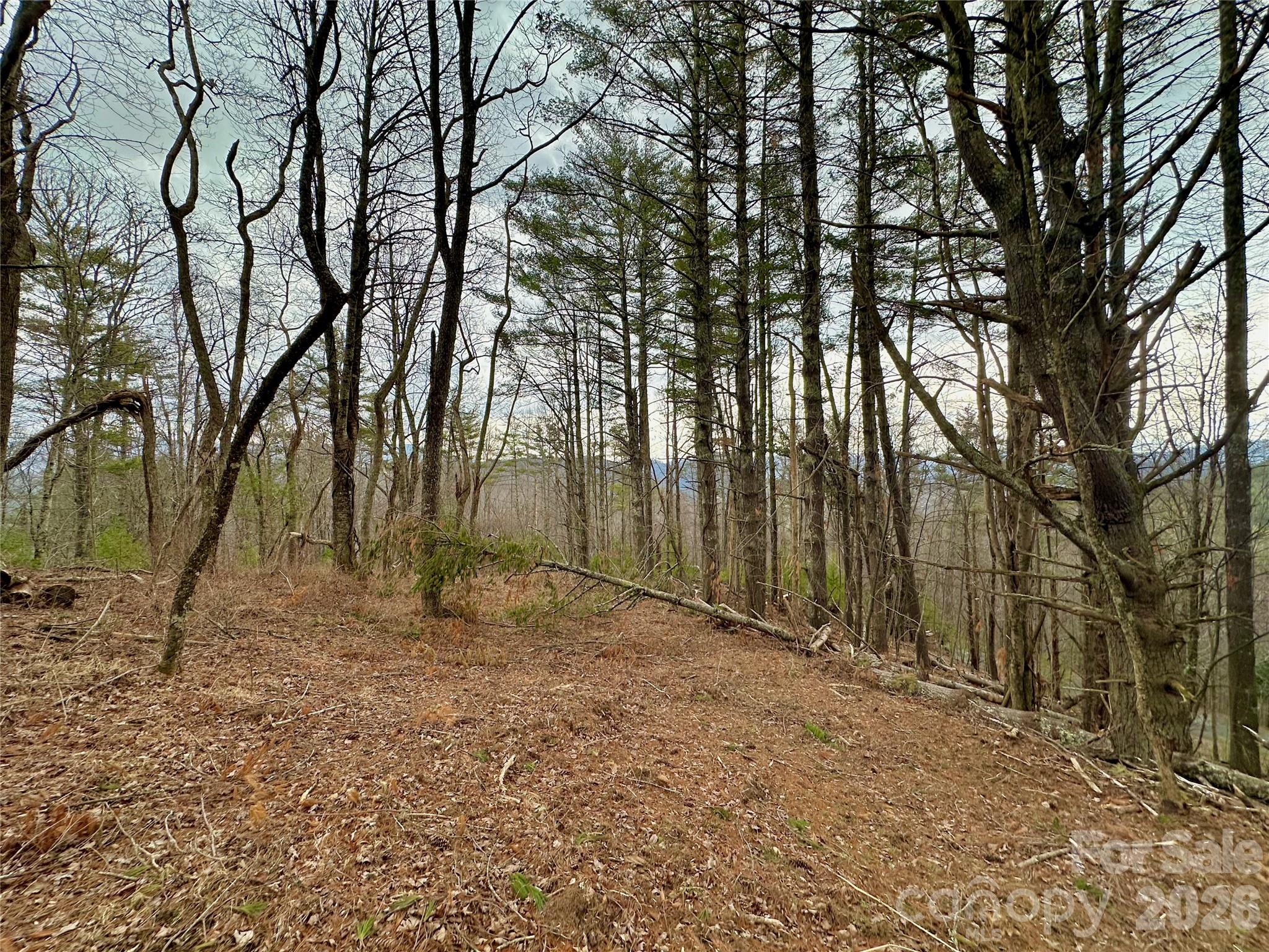 Tbd Mantera Ridge Sugar Grove NC 28679