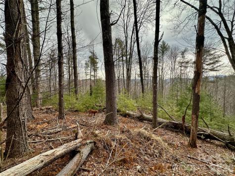 Tbd Mantera Ridge Sugar Grove NC 28679