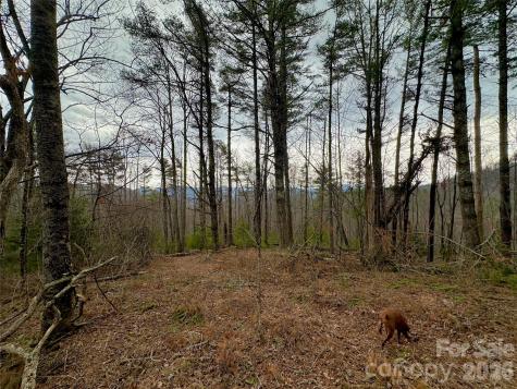 Tbd Mantera Ridge Sugar Grove NC 28679