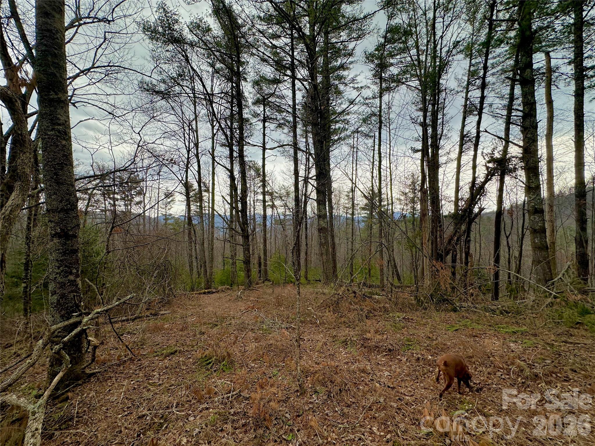 Tbd Mantera Ridge Sugar Grove NC 28679