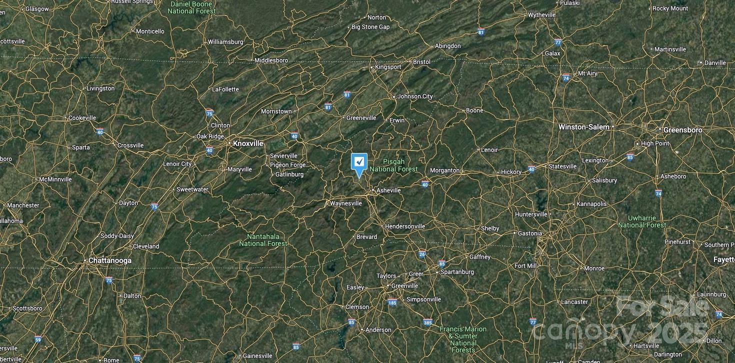 31 Missionary Lane Leicester NC 28748