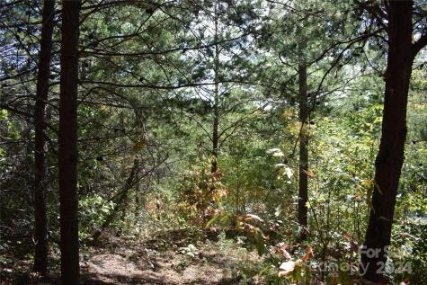 0 Holland Drive Columbus NC 28722