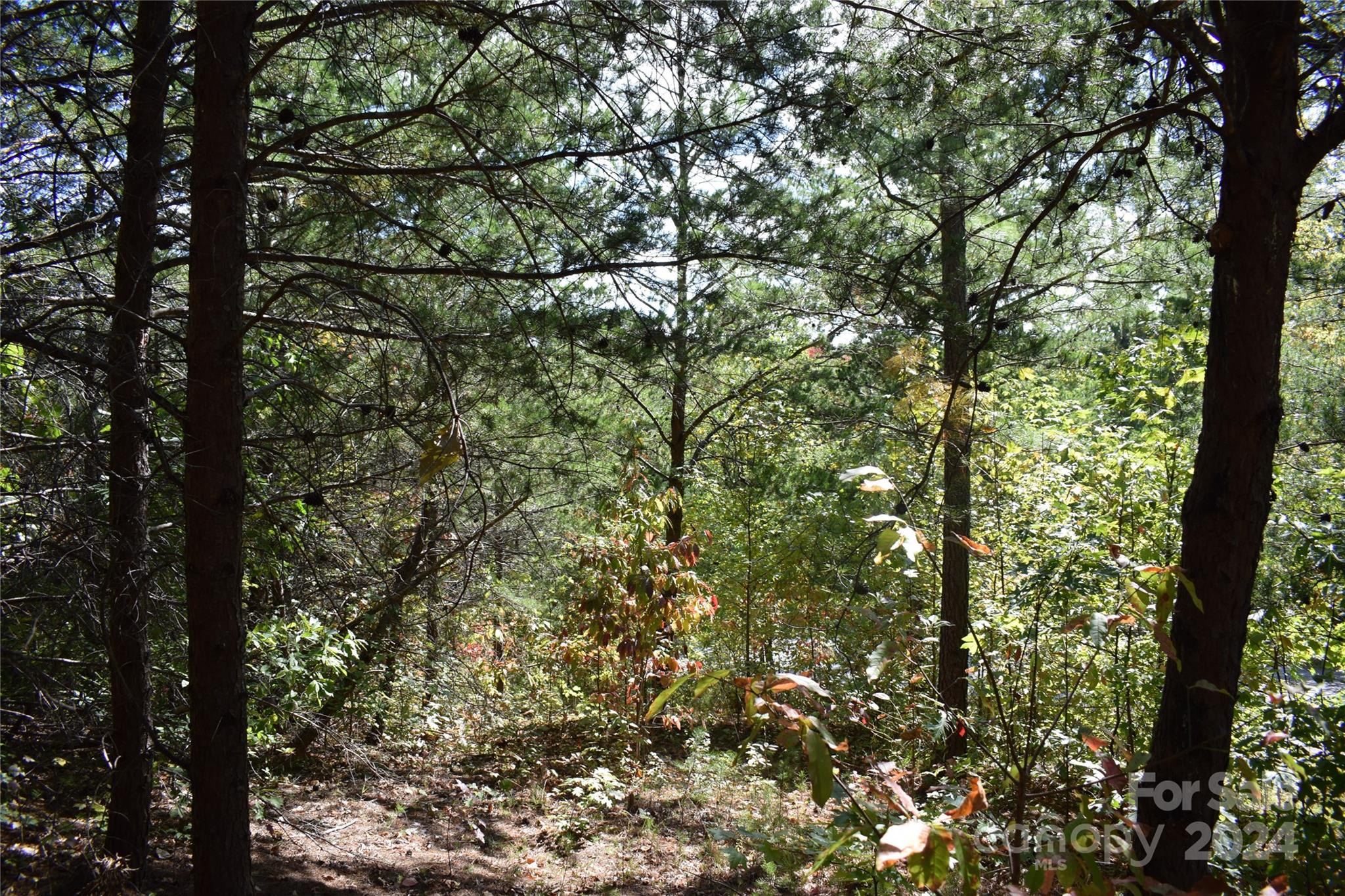 0 Holland Drive Columbus NC 28722