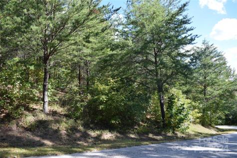 0 Holland Drive Columbus NC 28722