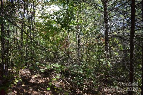 0 Holland Drive Columbus NC 28722