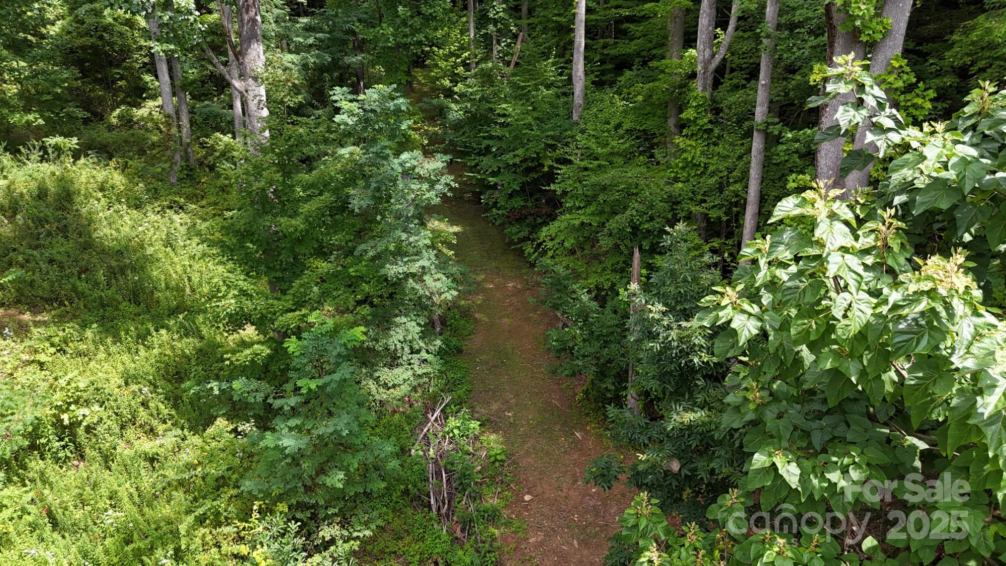 Lot 12 Roselyn Park Drive Maggie Valley NC 28751