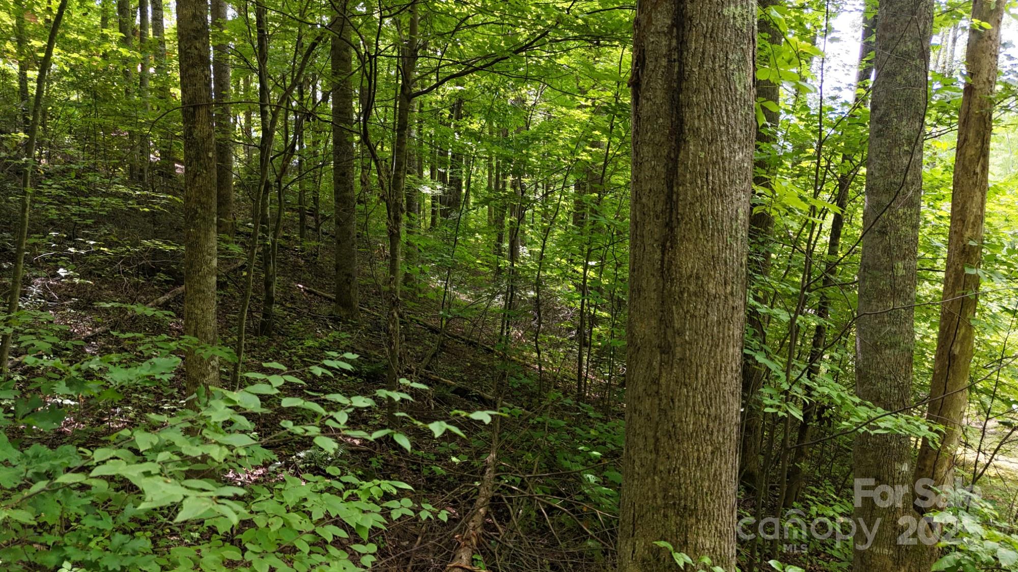 Lot 12 Roselyn Park Drive Maggie Valley NC 28751