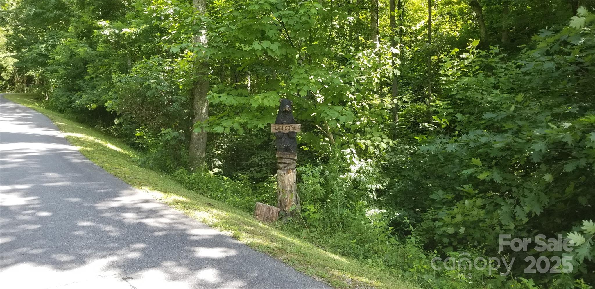 Lot 12 Roselyn Park Drive Maggie Valley NC 28751