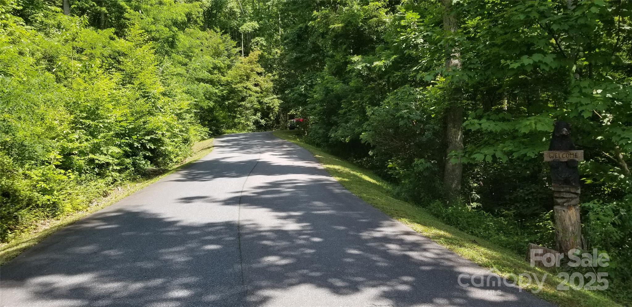 Lot 12 Roselyn Park Drive Maggie Valley NC 28751