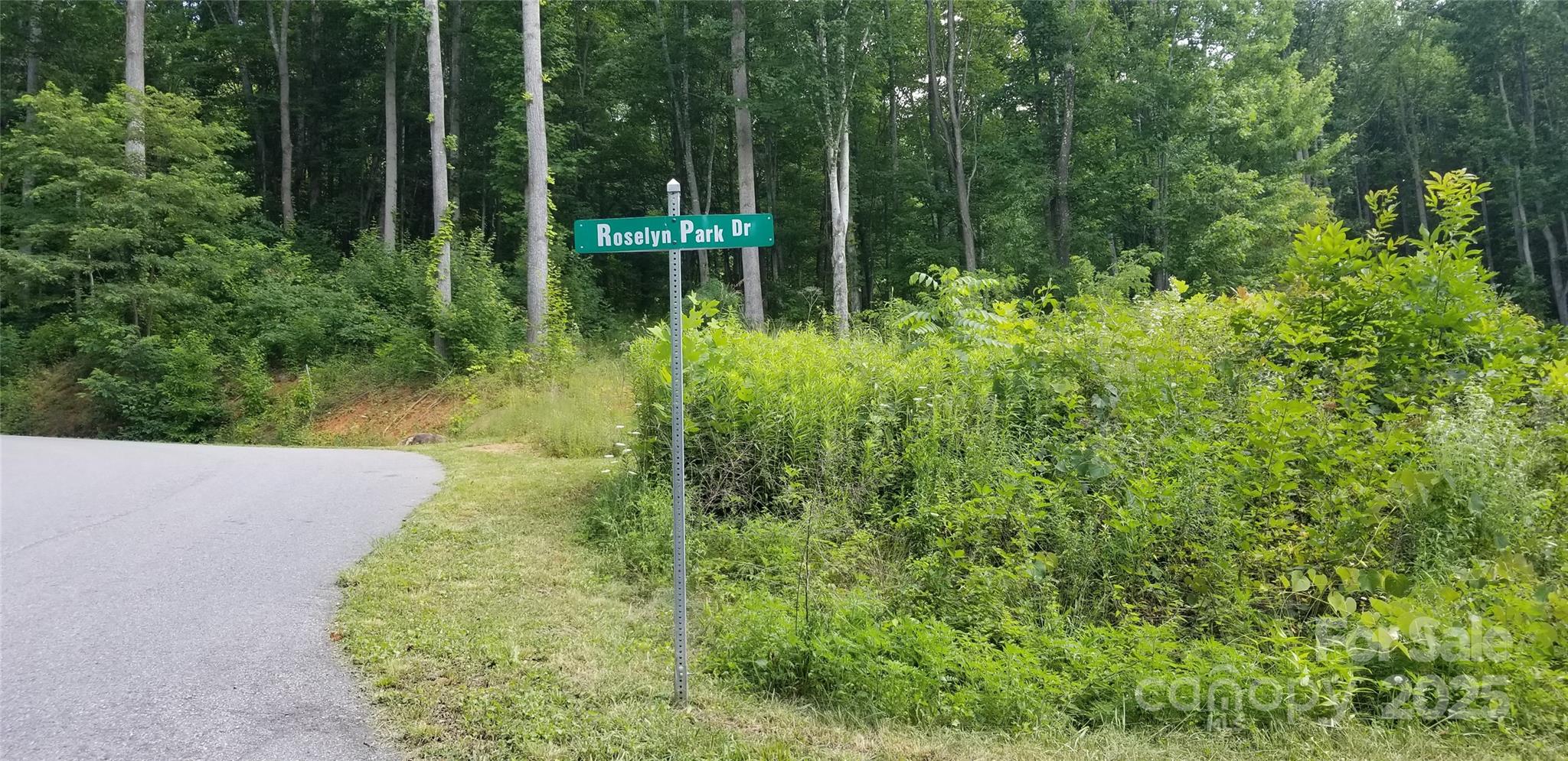 Lot 12 Roselyn Park Drive Maggie Valley NC 28751