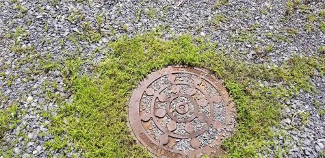 Lot 12 Roselyn Park Drive Maggie Valley NC 28751