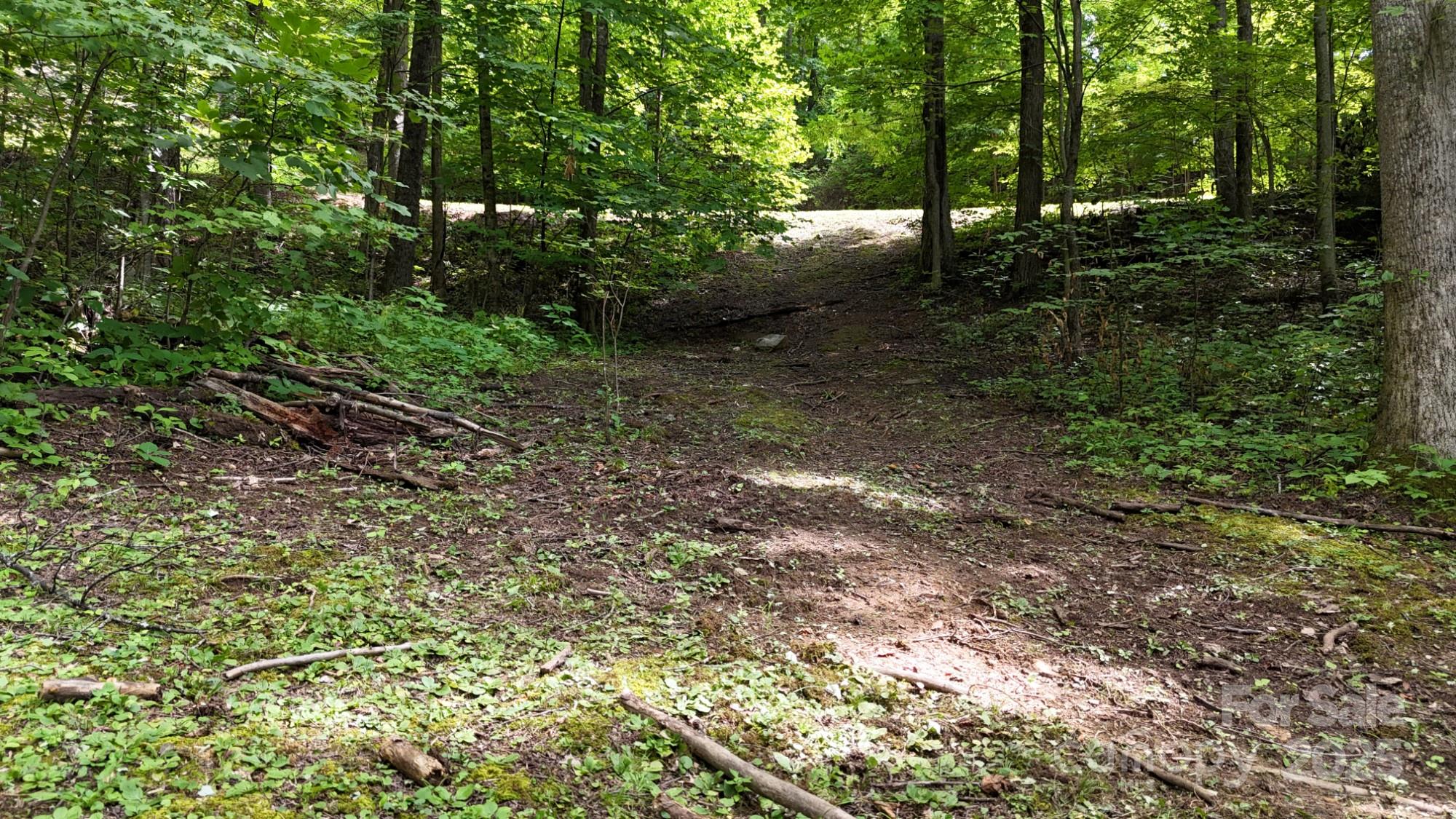 Lot 12 Roselyn Park Drive Maggie Valley NC 28751