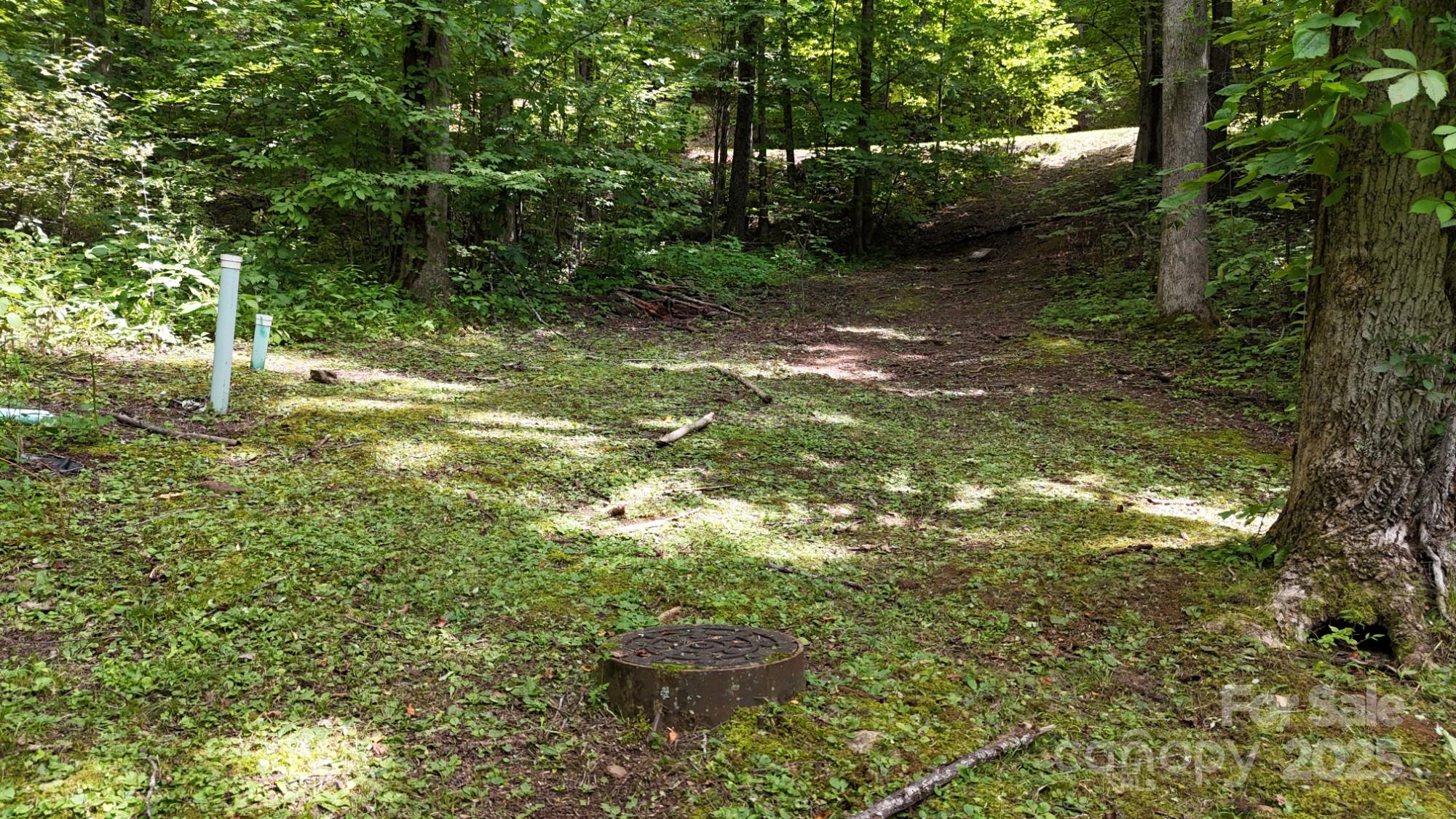 Lot 12 Roselyn Park Drive Maggie Valley NC 28751