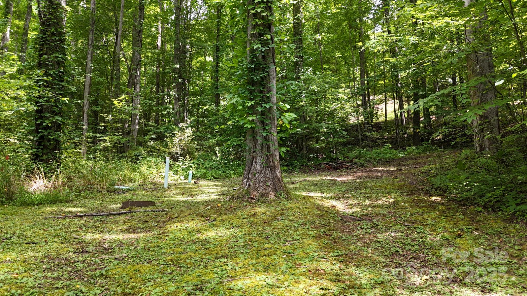 Lot 12 Roselyn Park Drive Maggie Valley NC 28751