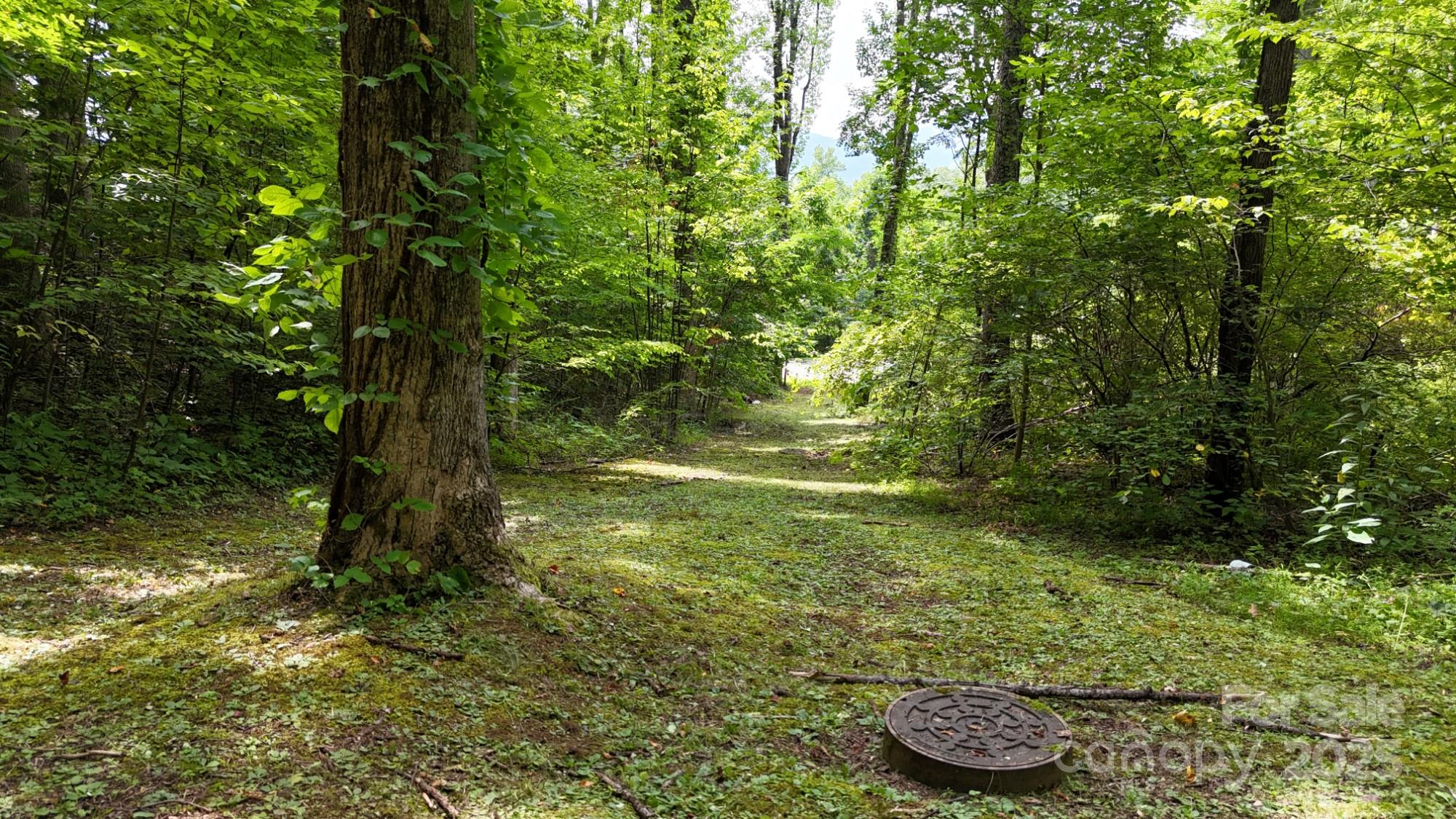 Lot 12 Roselyn Park Drive Maggie Valley NC 28751