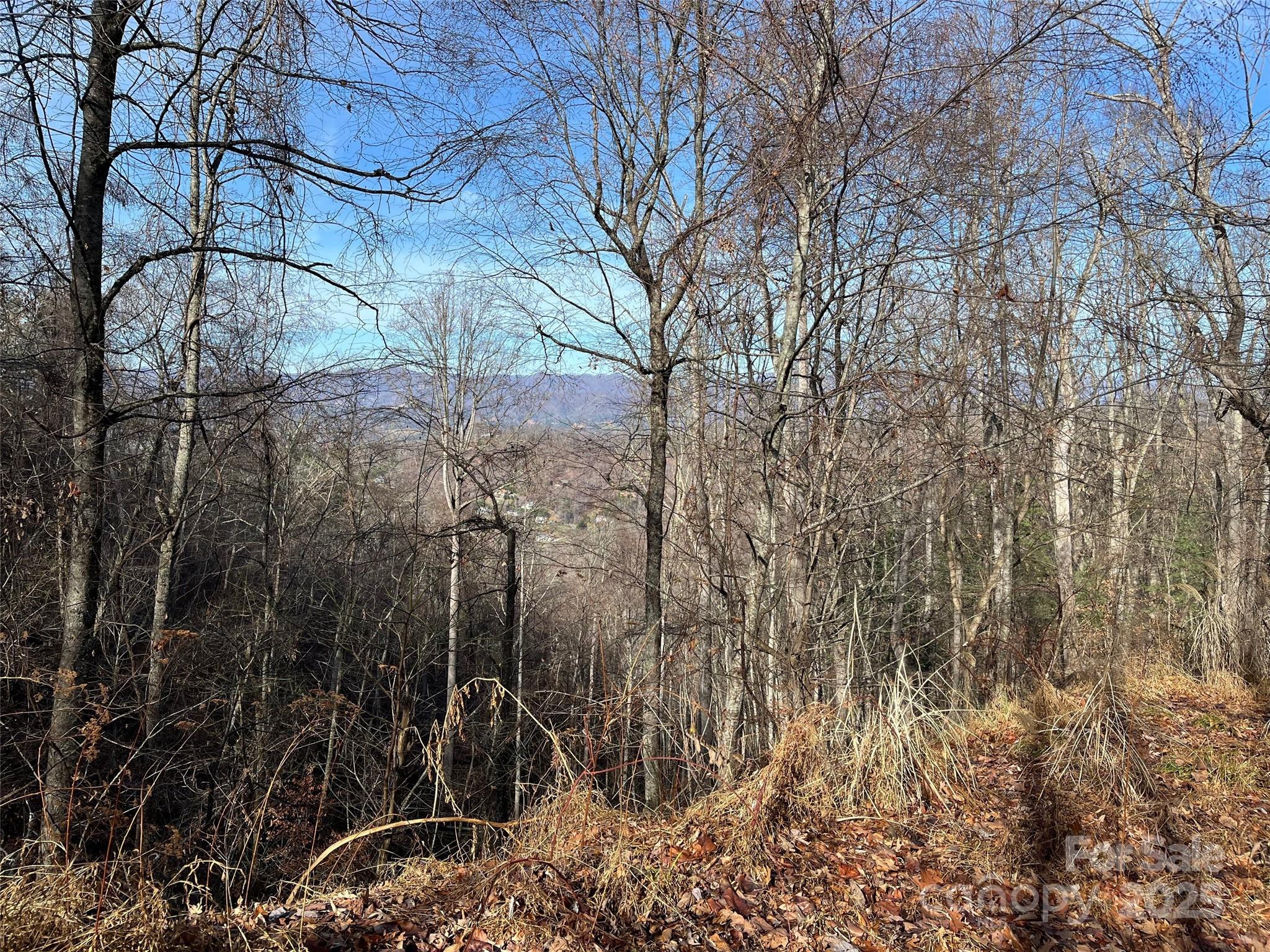 1182 Seven Glens Drive Weaverville NC 28787