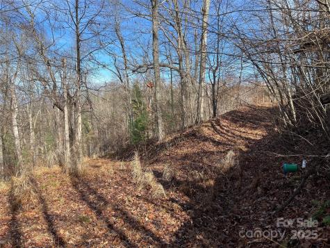 1182 Seven Glens Drive Weaverville NC 28787