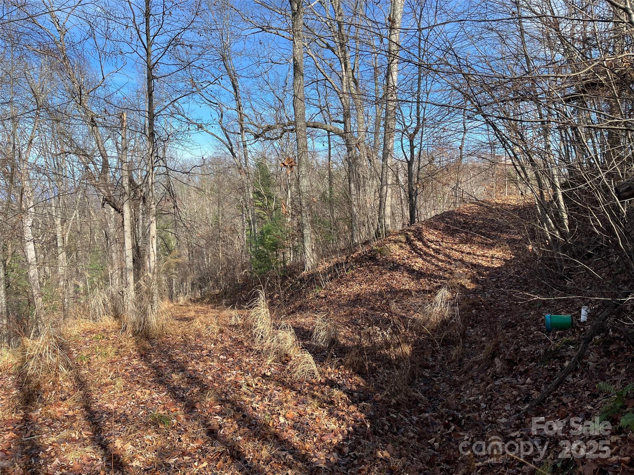 1182 Seven Glens Drive Weaverville NC 28787