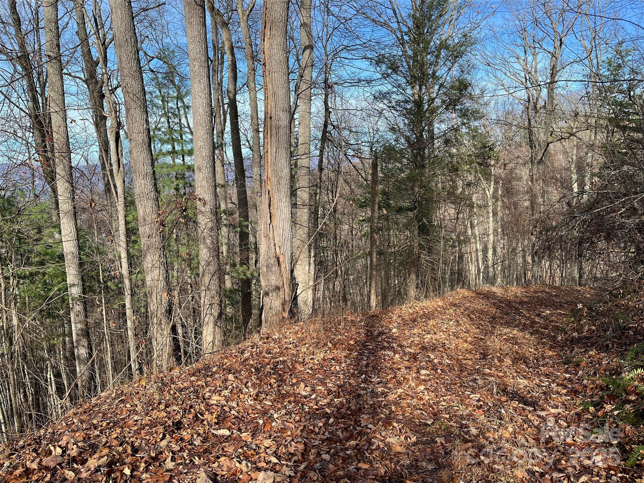 1182 Seven Glens Drive Weaverville NC 28787