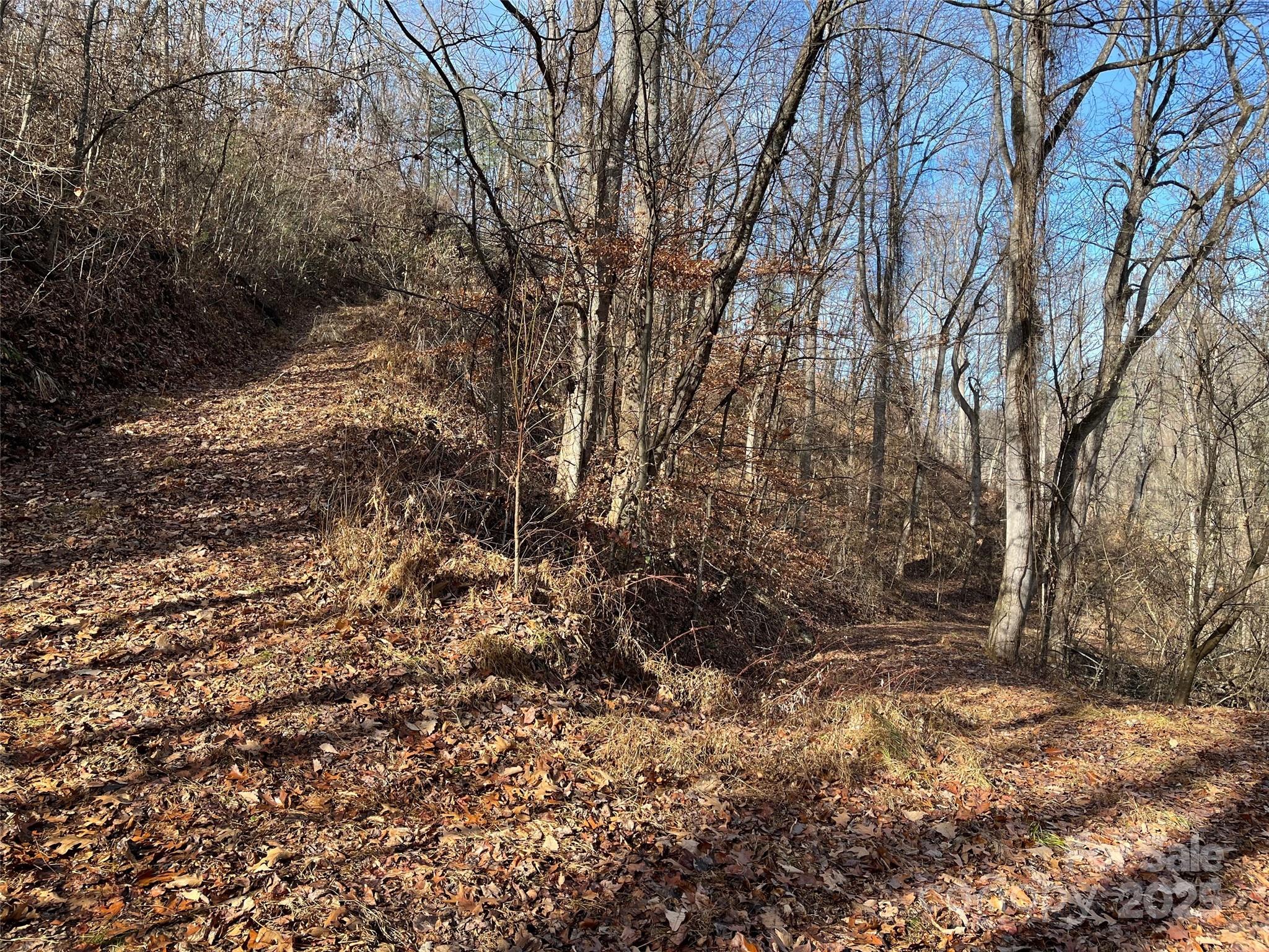1182 Seven Glens Drive Weaverville NC 28787