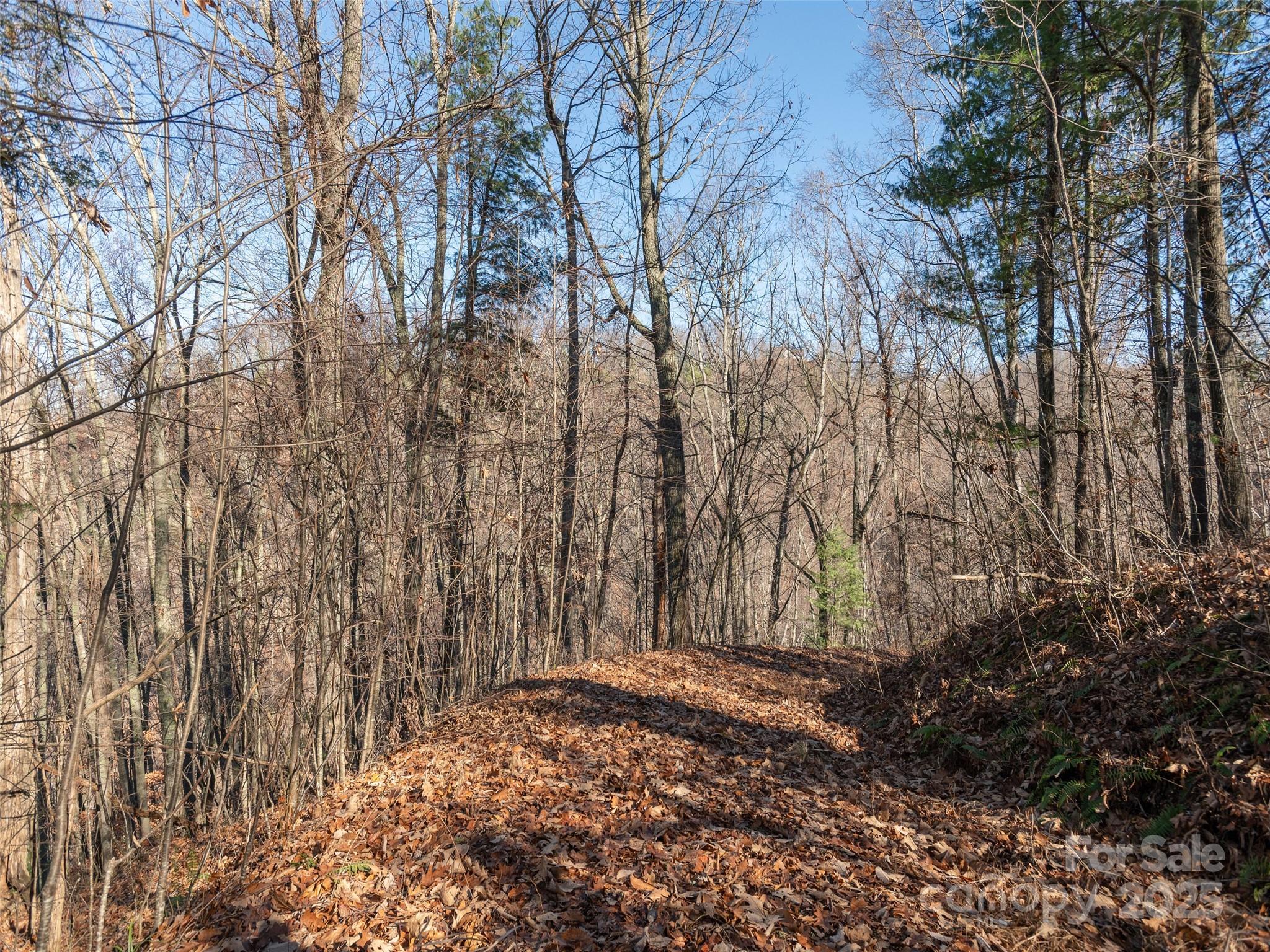 1182 Seven Glens Drive Weaverville NC 28787