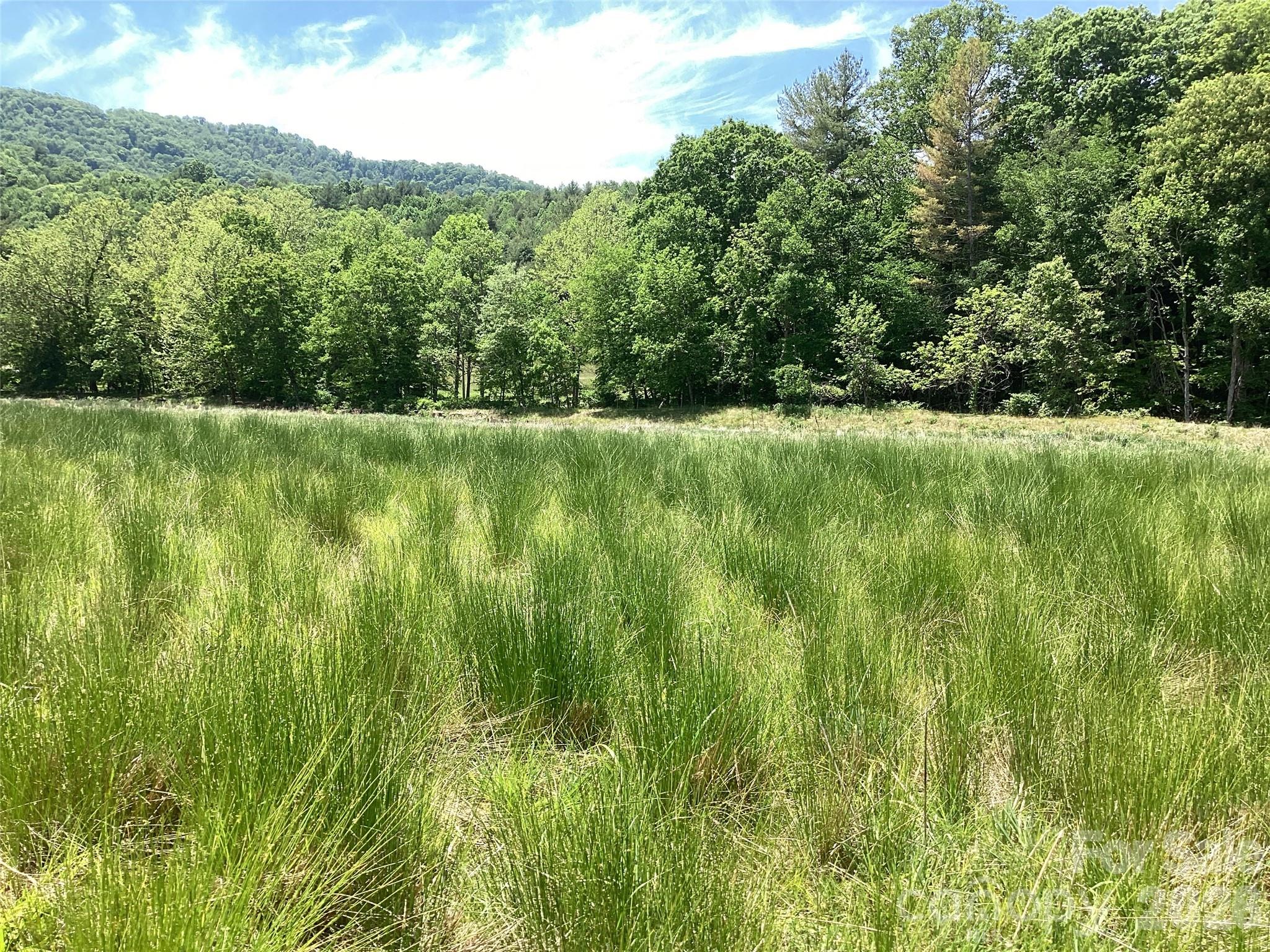 00 Bolens Creek Road Burnsville NC 28714