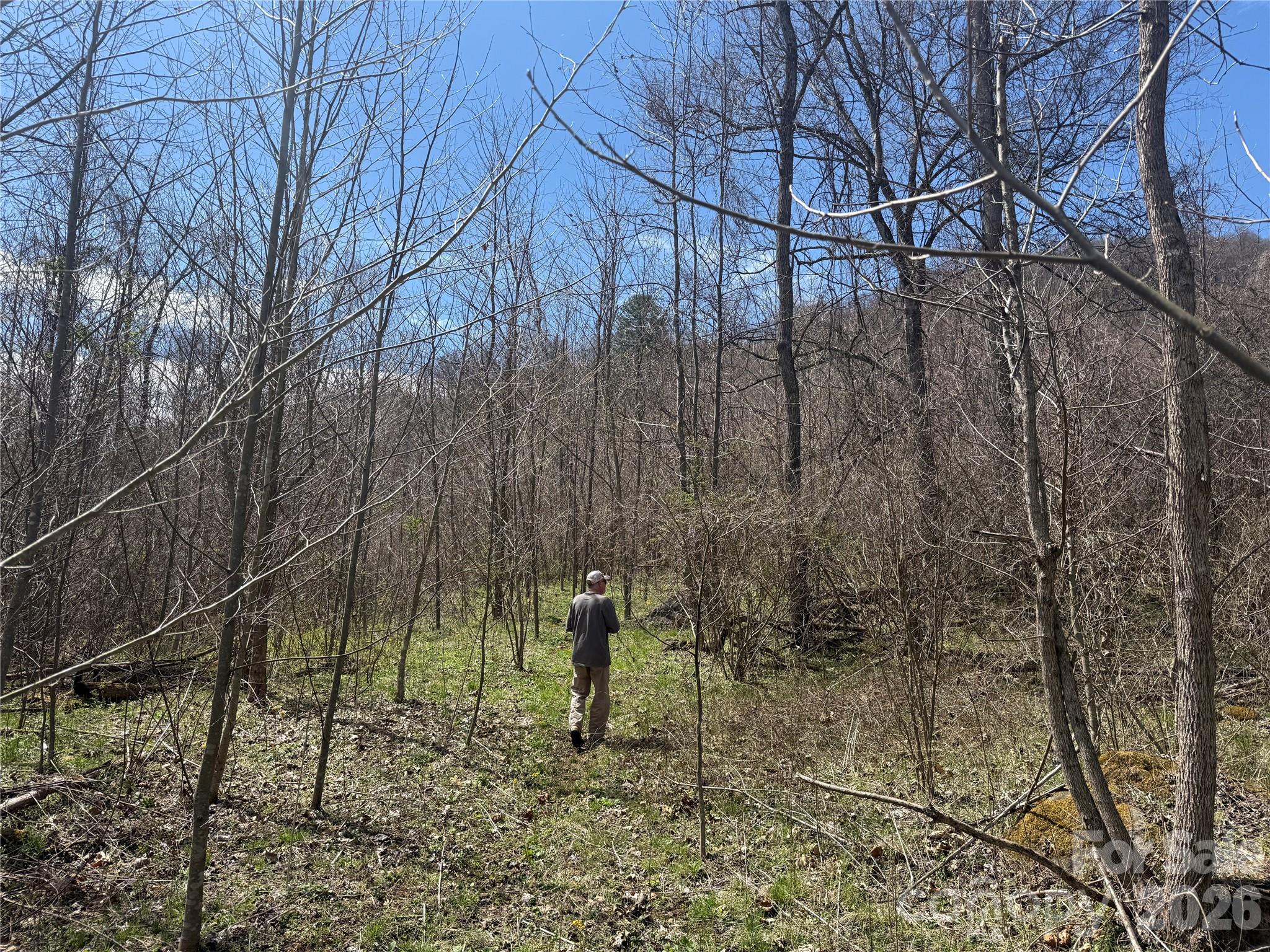 000 Caldwell Mountain Road Hot Springs NC 28743
