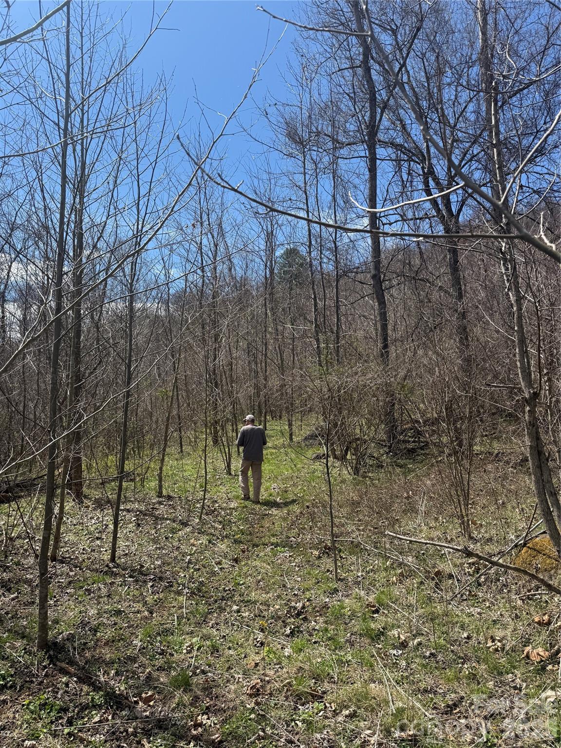 000 Caldwell Mountain Road Hot Springs NC 28743