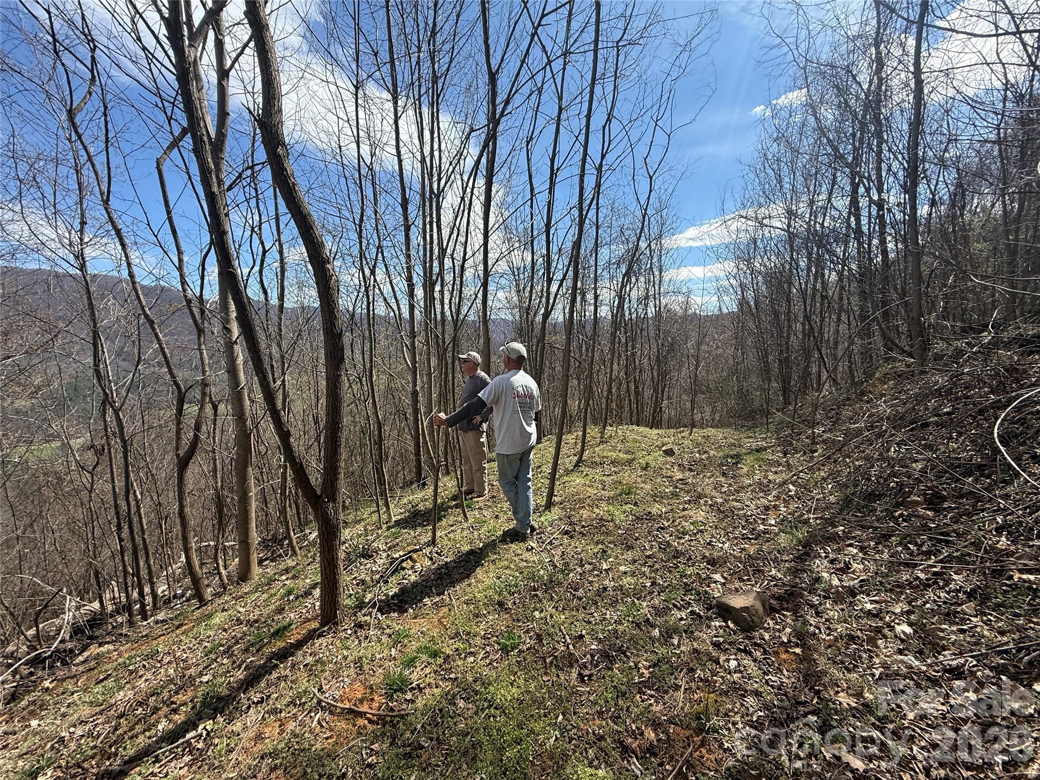 000 Caldwell Mountain Road Hot Springs NC 28743